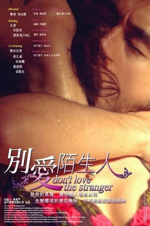 Don't Love the Stranger's poster
