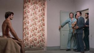 The Violent Professionals's poster
