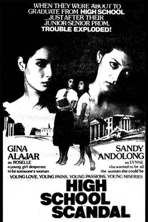 High School Scandal's poster