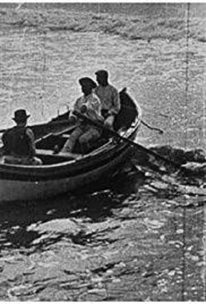A Barc at the Sea's poster