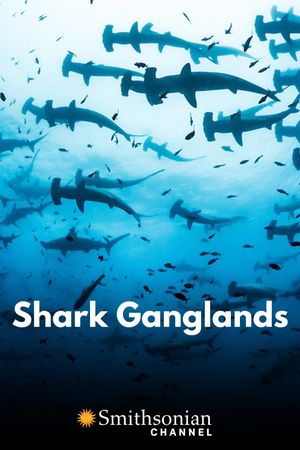 Shark Ganglands's poster