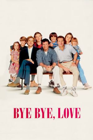 Bye Bye Love's poster