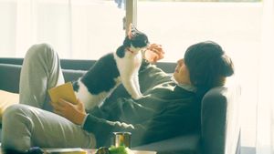 The Travelling Cat Chronicles's poster