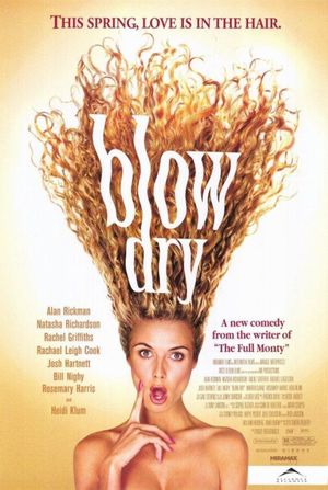 Blow Dry's poster