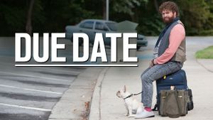 Due Date's poster