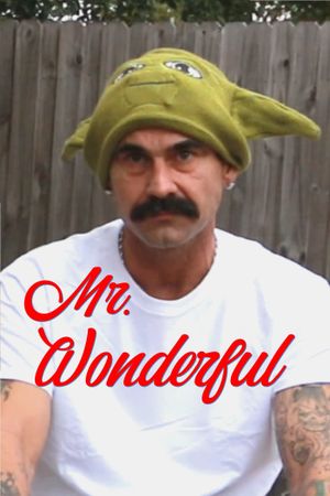 Mr. Wonderful's poster