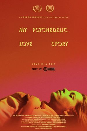 My Psychedelic Love Story's poster