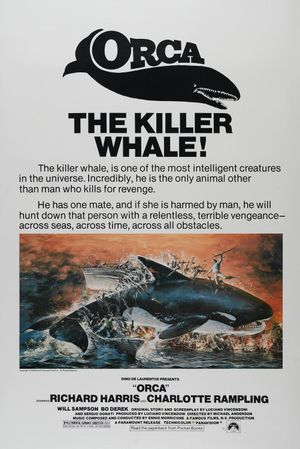 Orca's poster