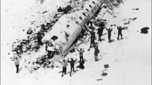 Vol 571 : Crash dans les Andes's poster
