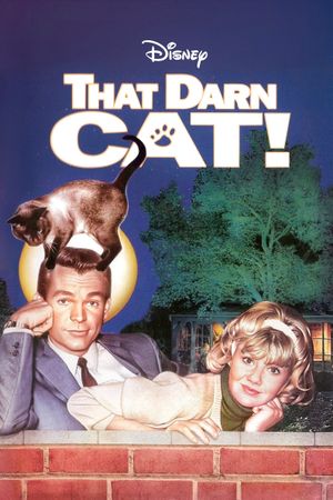 That Darn Cat!'s poster