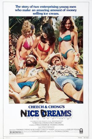 Nice Dreams's poster