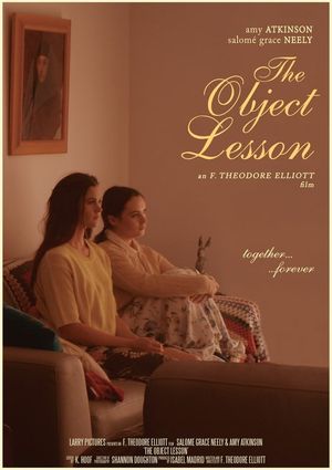 The Object Lesson's poster