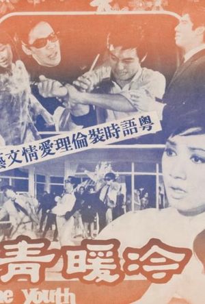 The Joys and Sorrows of Youth's poster