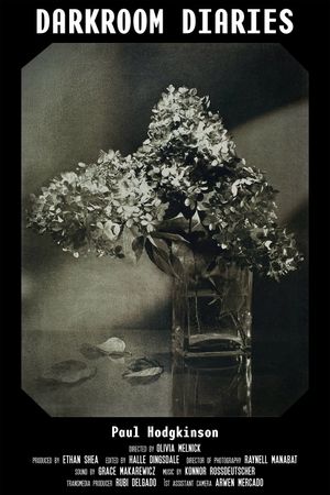 Darkroom Diaries's poster