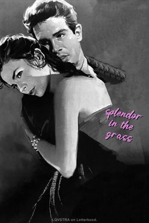 Splendor in the Grass's poster