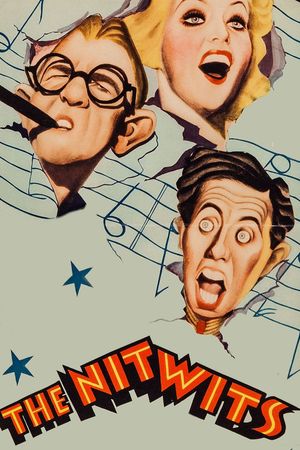The Nitwits's poster
