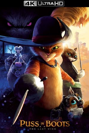 Puss in Boots: The Last Wish's poster