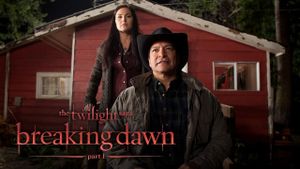 The Twilight Saga: Breaking Dawn - Part 1's poster