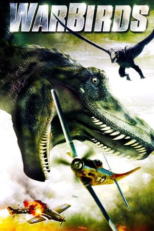 Warbirds's poster