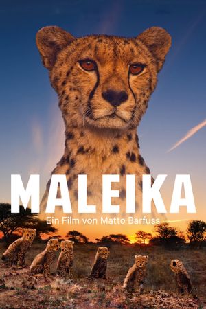 Maleika's poster image