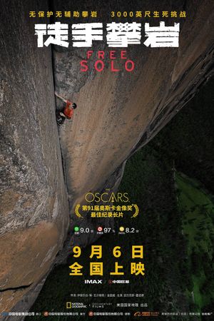 Free Solo's poster