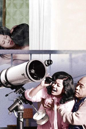 Afternoon Affair: Rear Window's poster