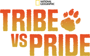 Tribe versus Pride's poster