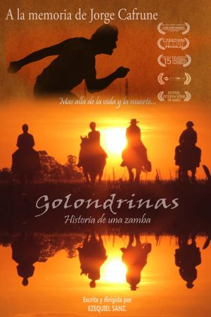 Golondrinas, historia de una zamba's poster