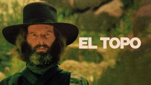 El Topo's poster
