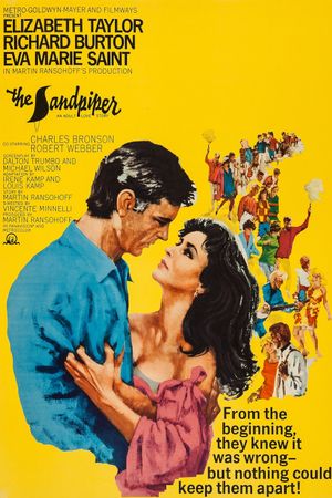 The Sandpiper's poster