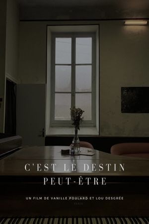 C'est le Destin peut-être's poster image