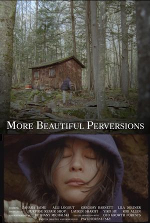 More Beautiful Perversions's poster