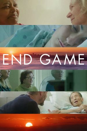 End Game's poster