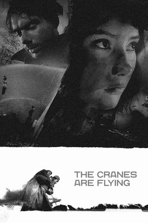The Cranes Are Flying's poster