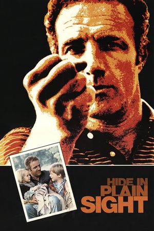Hide in Plain Sight's poster image