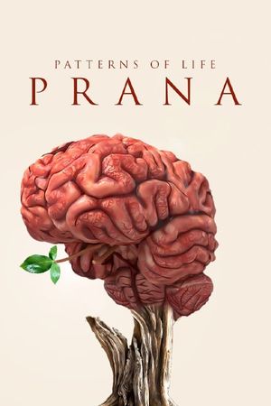 Patterns of life: Prana's poster