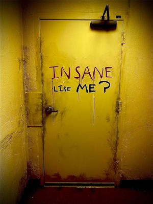 Insane Like Me?'s poster