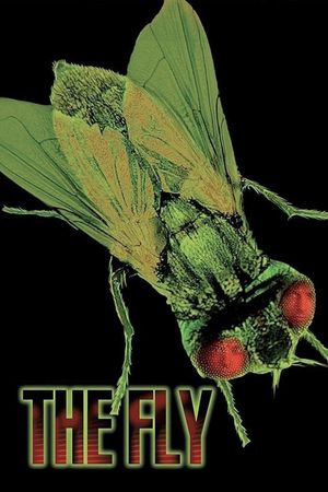 The Fly's poster