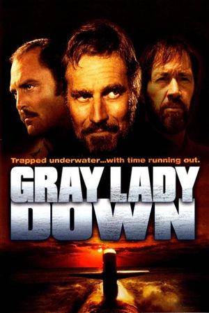 Gray Lady Down's poster