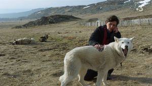 La doc et le véto : En chiens de faïence's poster