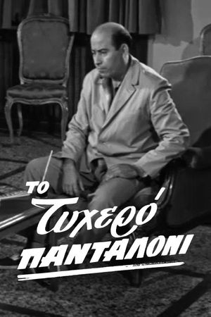 To tyhero pantaloni's poster