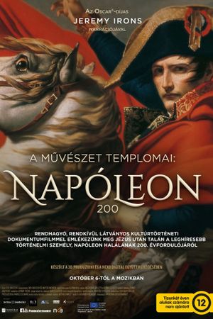 Napoleon: In the Name of Art's poster image
