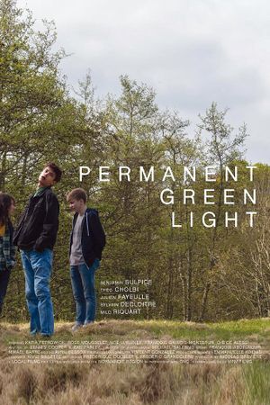 Permanent Green Light's poster