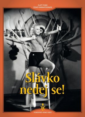 Slávko nedej se!'s poster