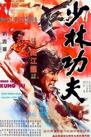 Shaolin Kung Fu's poster
