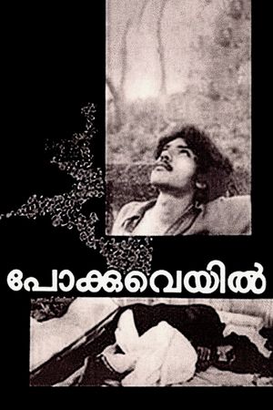 Pokkuveyil's poster