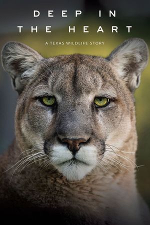Deep in the Heart: A Texas Wildlife Story's poster
