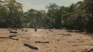 Apocalypto's poster