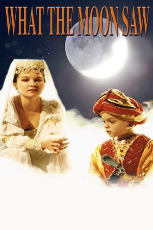 What the Moon Saw's poster