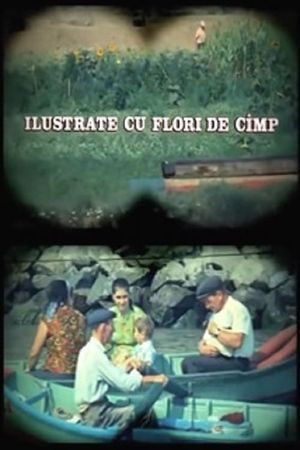 Ilustrate cu flori de câmp's poster